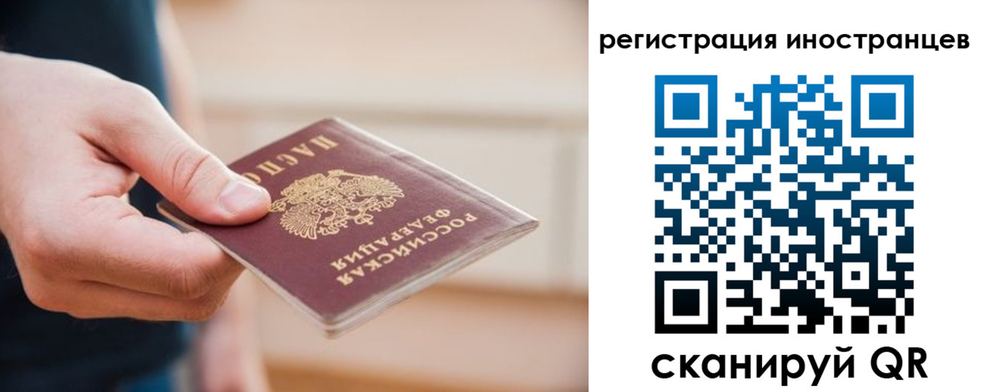 прописка гарантия в Кораблино